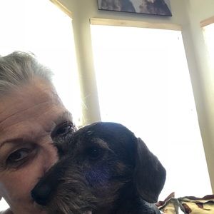 Meet your Posher, Merilynn